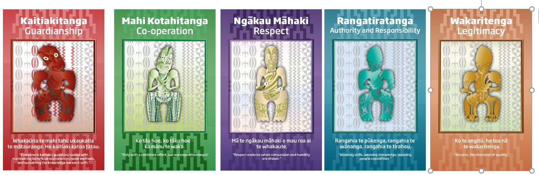 Te Noho Kotahitanga values