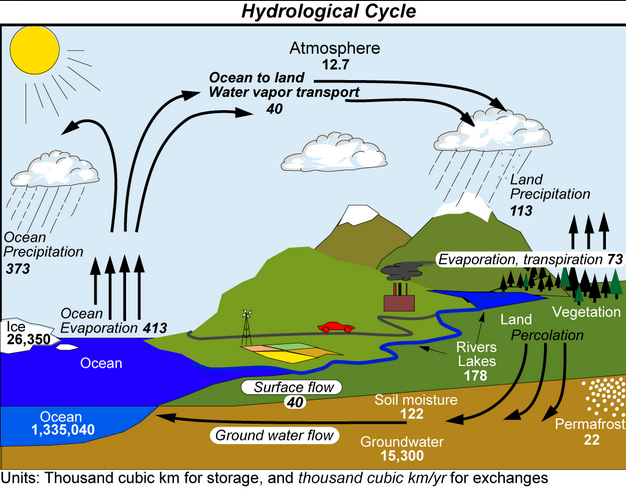 Lotic System Examples Week 4a- Water: Lotic & Lentic systems | eLearn