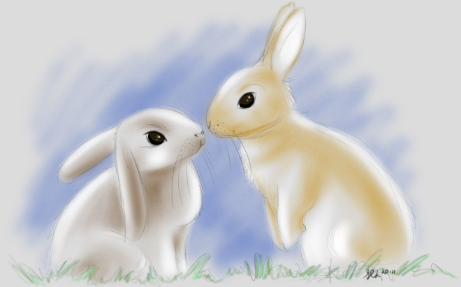 Bunnies